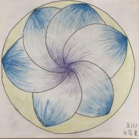 20210528魔幻数学节五年级作品赛报道_html_m1250f24f.jpg