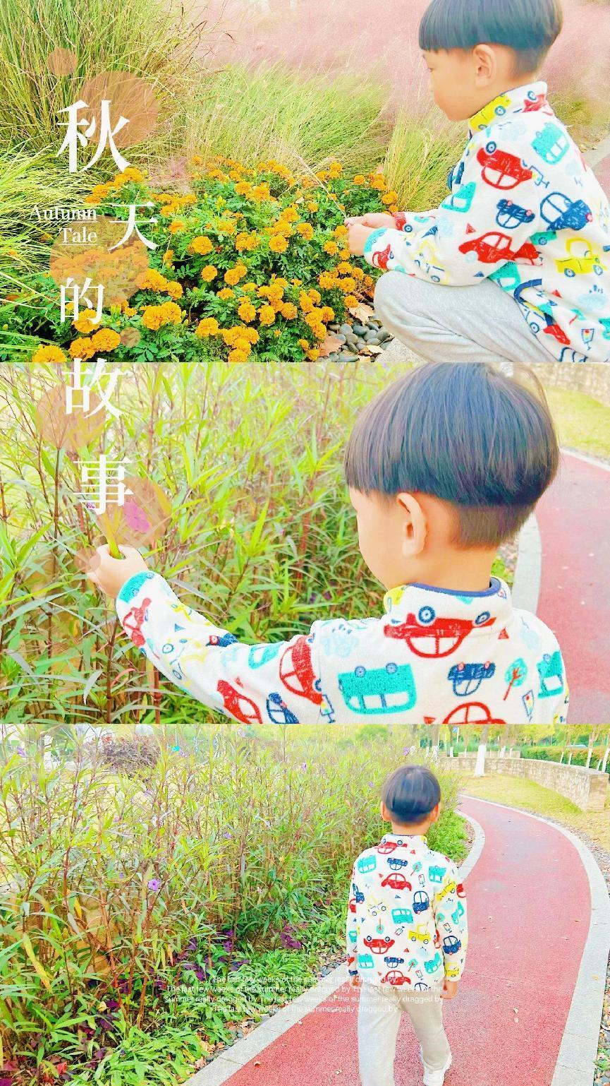 秋天有hua说——南湾营小学三年级语文实践活动_html_m3cb44efa.jpg