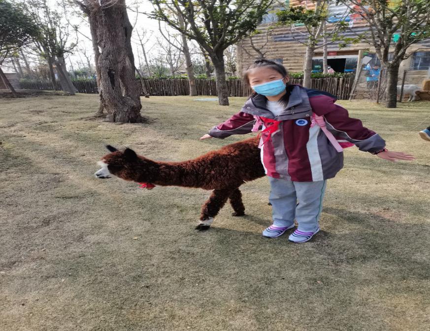 追寻深秋童话  探秘动物王国_html_m79d3c1ba.jpg