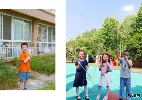 萝卜变形计——大五班小满节气活动