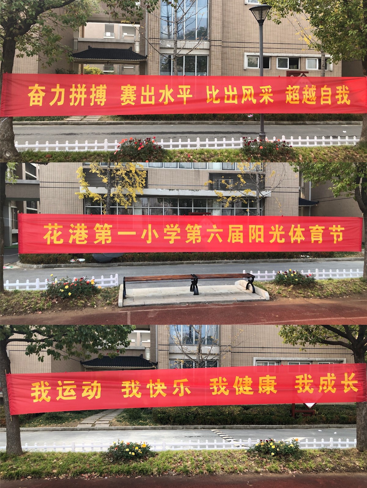 【花港一小】生命因运动精彩，体育让梦想成真 ——花港一小第六届阳光体育节正式开幕