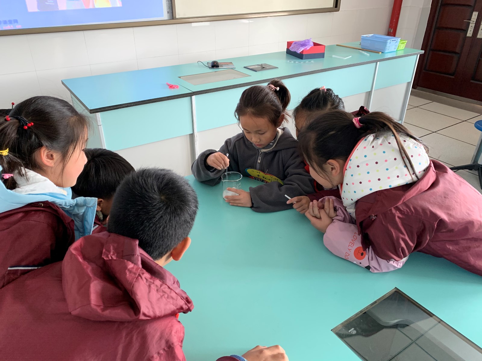 紫金小学“行知”社团——科学小实验社团