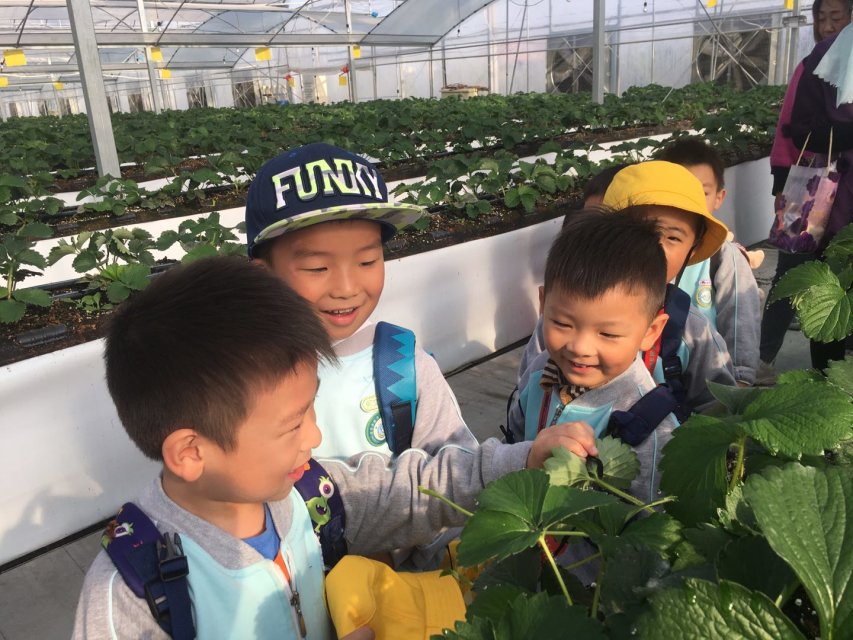 C59B8C87C32B02C44CAED96FE2B430D6.png C59B8C87C32B02C44CAED96FE2B430D6.png