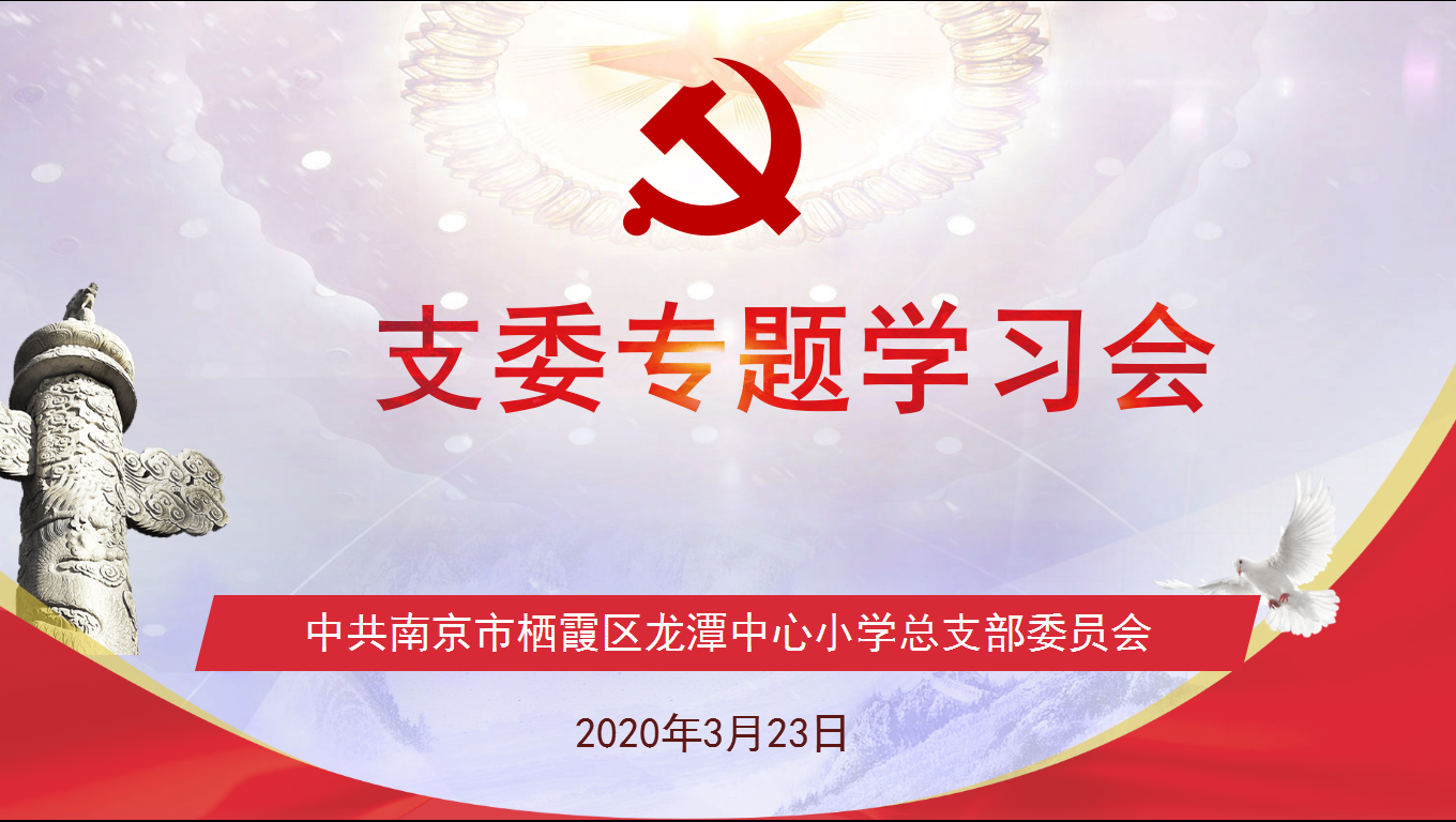 【灵美龙小】中共南京市栖霞区龙潭中心小学总支部委员会  召开支委专题学习会