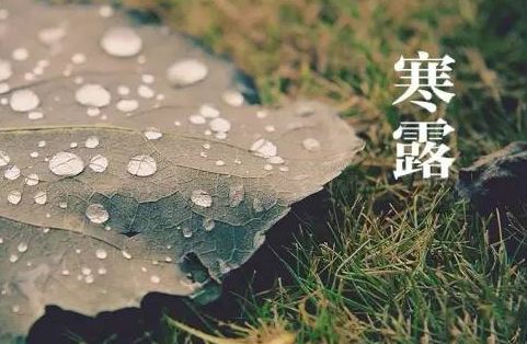 寒露活动_html_me98118e.jpg