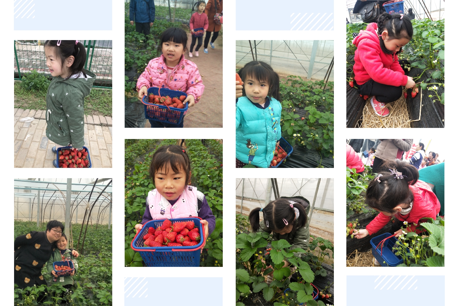 【乐活龙幼】健康快乐行，相约草莓园——记龙潭幼儿园长江分园中班组社区活动