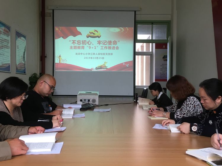 【江畔先锋】龙潭中心小学江畔人家校区党支部举行主题教育“9+1”工作推进会之二