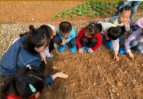 QQ图片20191018123125.png