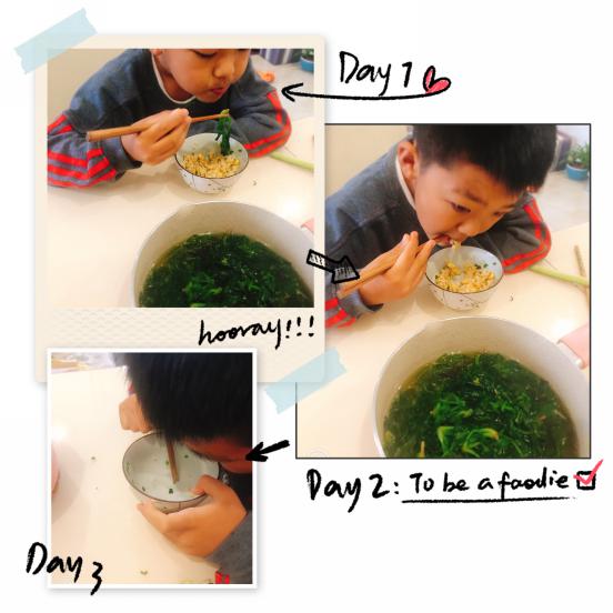 光盘在行动_html_m1d396455.jpg