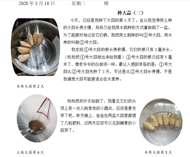 战“疫”助力学--童学小课堂，“蒜”你最厉害_html_m675af4d4.png