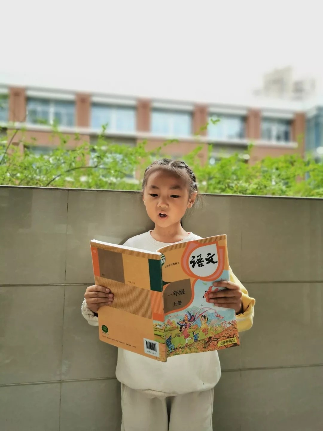 QQ图片20191109144047.jpg