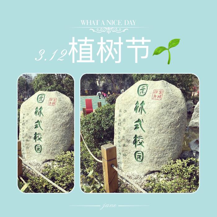 【睿智中三】爱护树木，从我做起----3.12植树节写生活动
