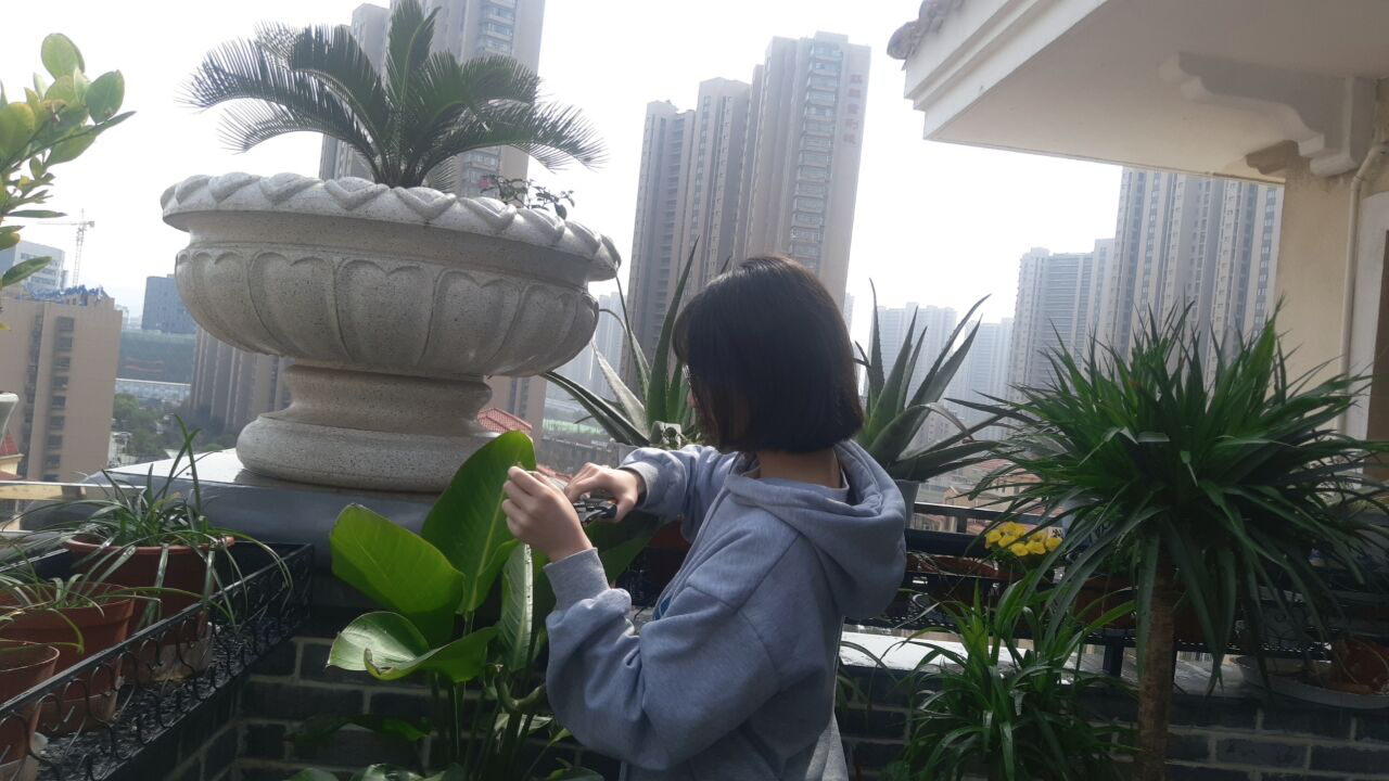 沈如丹.png