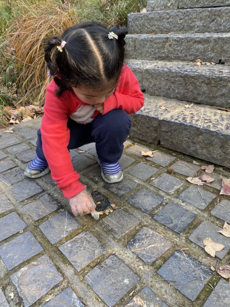 绿色环保徒步走，垃圾分类我先行_html_7ce3da19.jpg