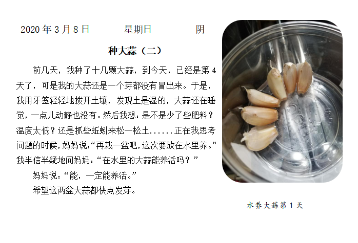 战“疫”助力学--童学小课堂，“蒜”你最厉害_html_35c311ce.png