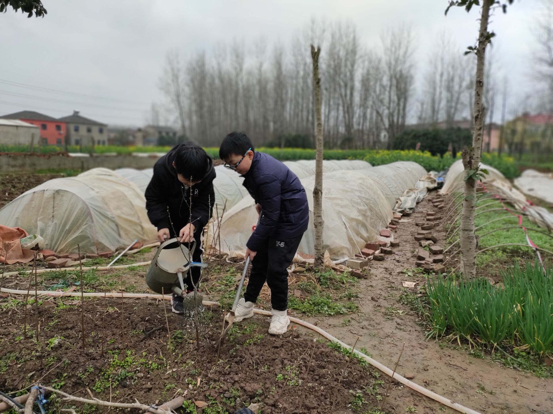 种下一颗树 (2).jpg