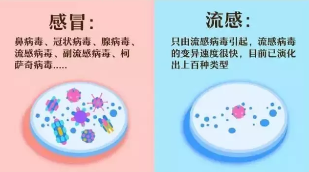 【生命迈幼.安全第一】流感来袭，怎样做好科学预防_html_m750f6178.png