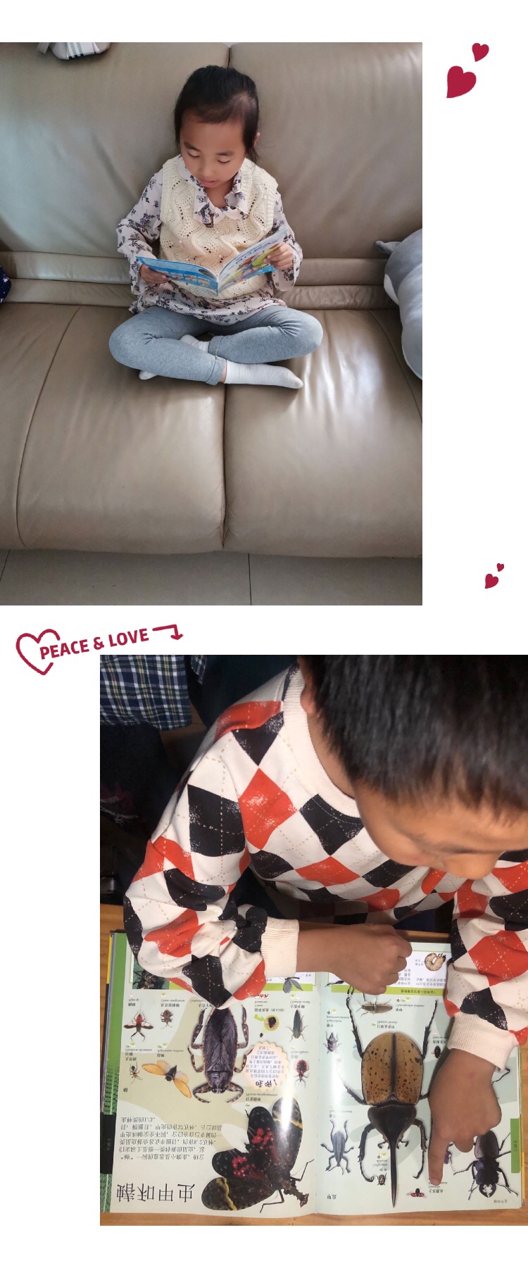 我给大家讲故事_html_m49a3d367.jpg
