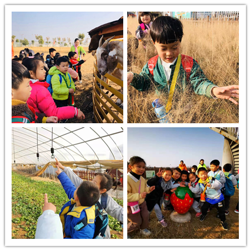 微信图片_20191210122754_副1.png