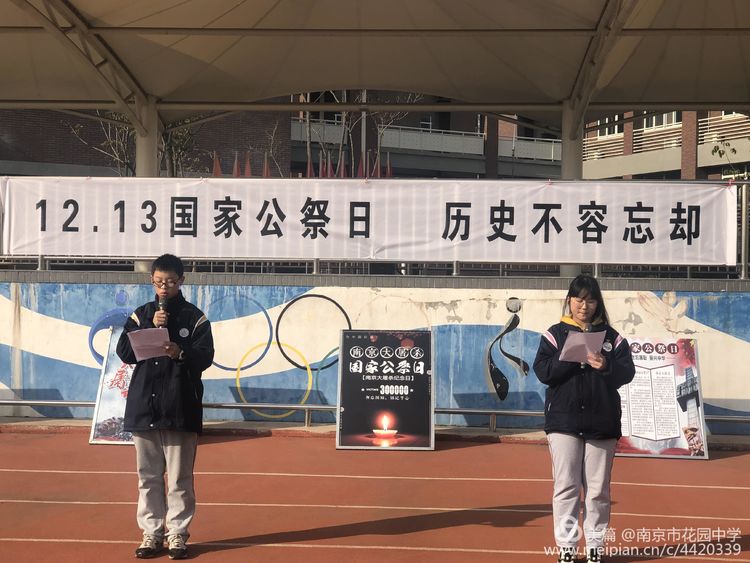 16771720-1d64-11ea-8006-3b61b4fa53de.jpg