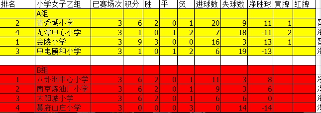 2018-2019学年度“区长杯”足球联赛积分表