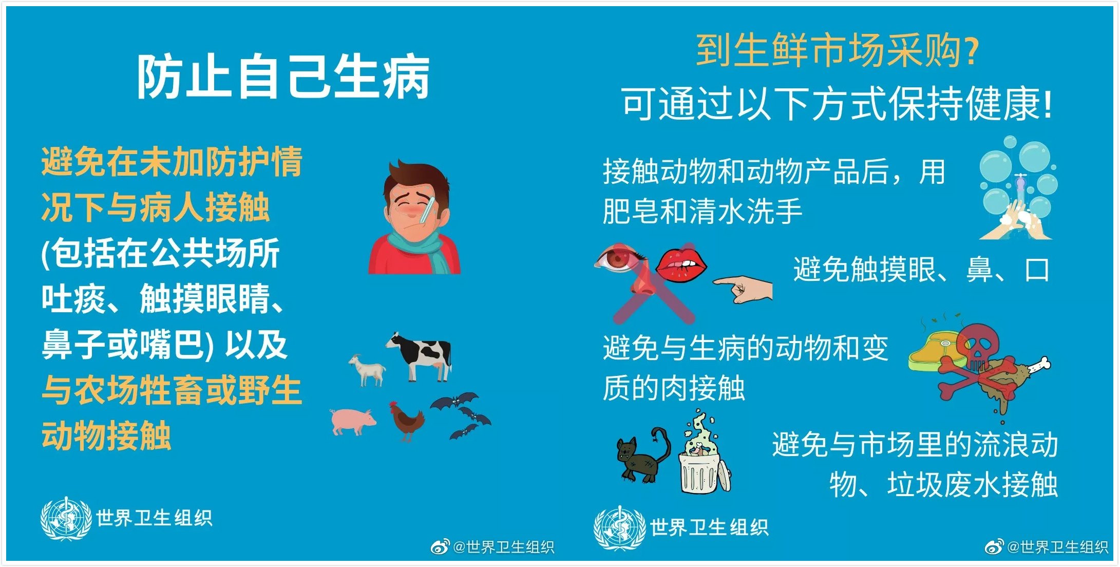 【生命迈幼.安全第一】预防新型冠状病毒告家长书_html_m5d392aee.jpg