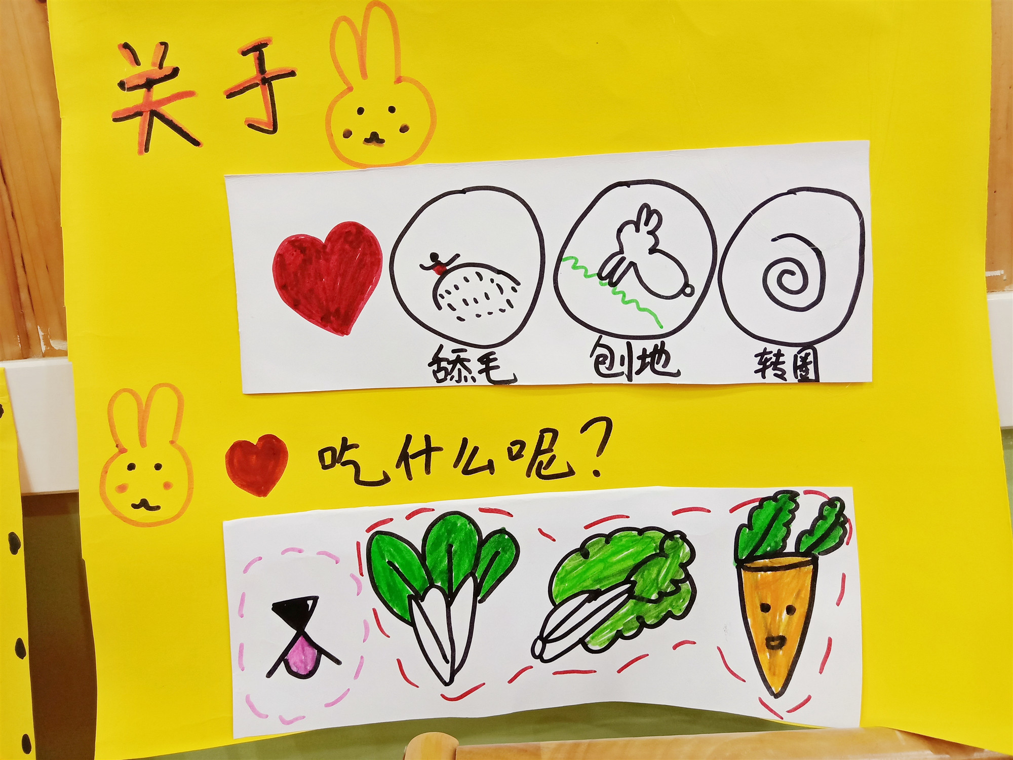 2020.1.8小五班小兔项目报道_html_m49c341c8.jpg