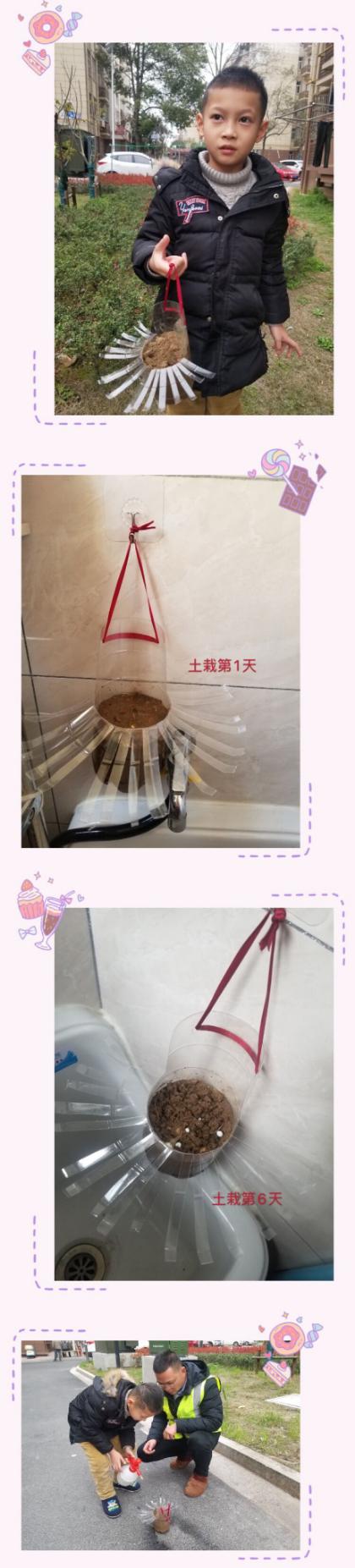 战“疫”助力学--童学小课堂，“蒜”你最厉害_html_3a7afe06.jpg